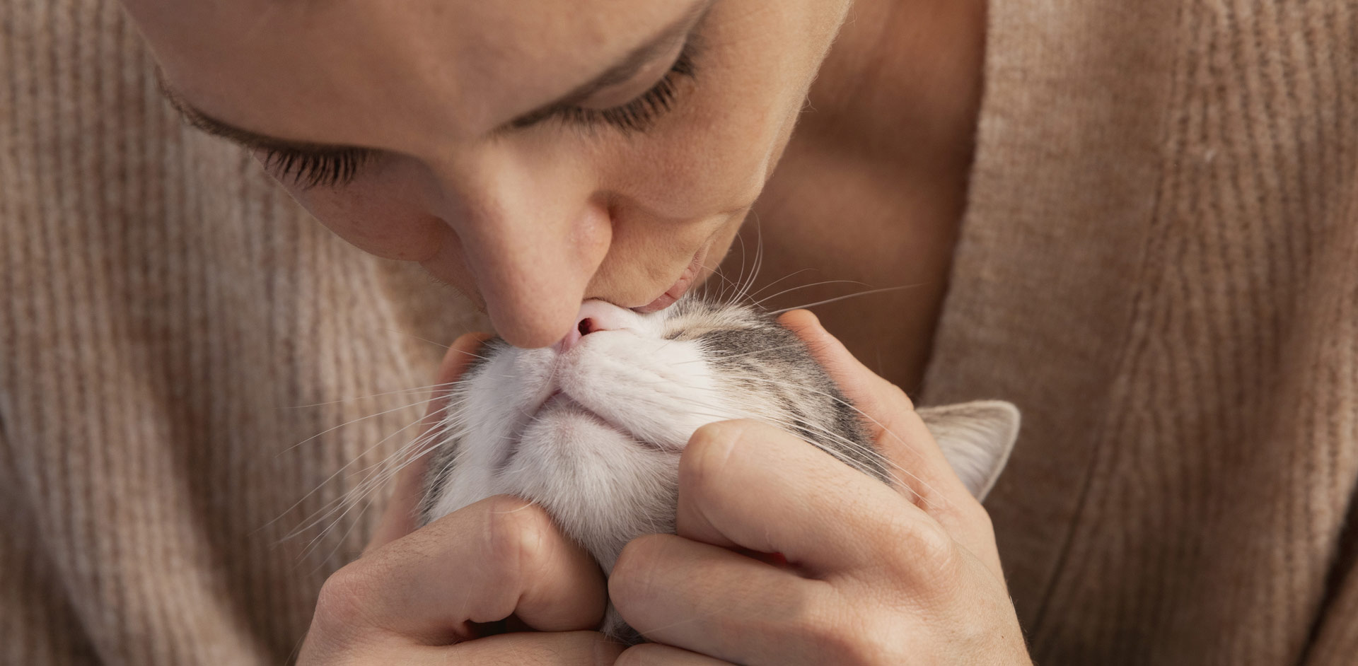 佳和安全食品股份有限公司